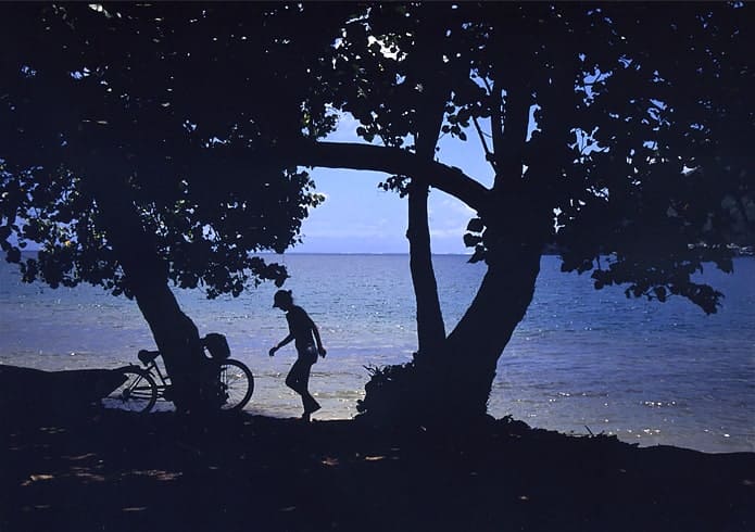 大切な作品（写真）