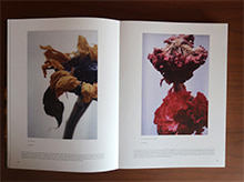 GRAND OPERA L&Eacute;GENDE