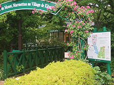 北川村 モネの庭