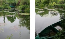 北川村 モネの庭