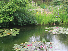 北川村 モネの庭