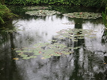 北川村 モネの庭