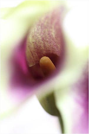 '23 7月カラー067