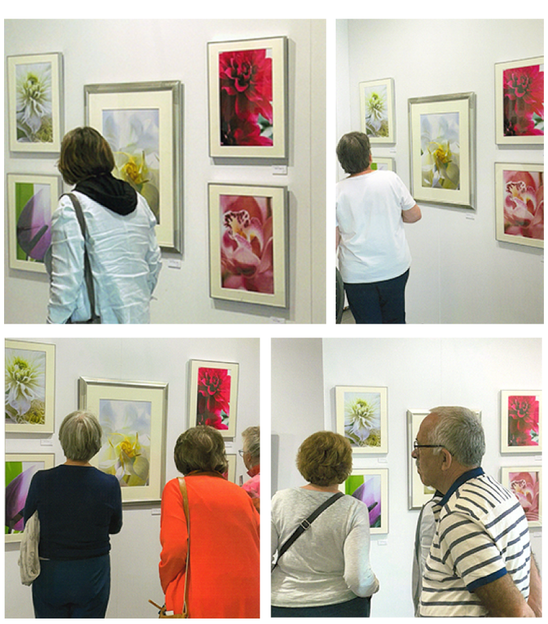 作品展示の様子