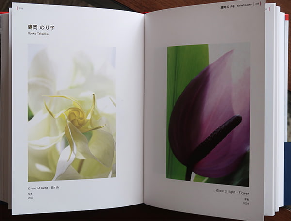 Le Salon と日本の芸術家