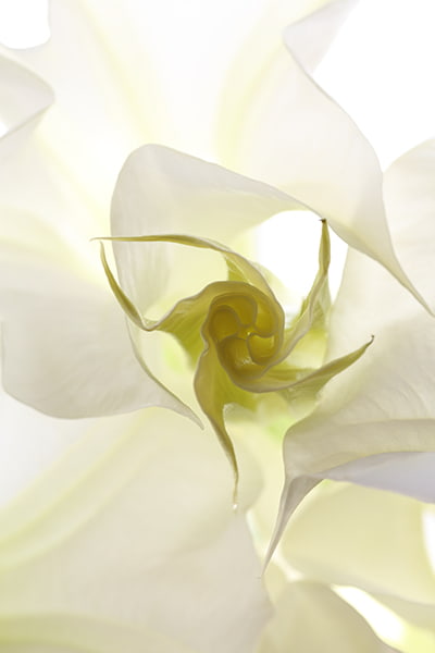 Glow of light－Birth