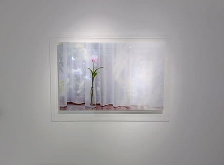 鷹岡のり子展 ―Birth― from Glow of Light