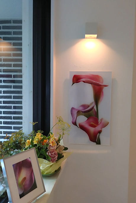 鷹岡のり子展 ―Birth― from Glow of Light