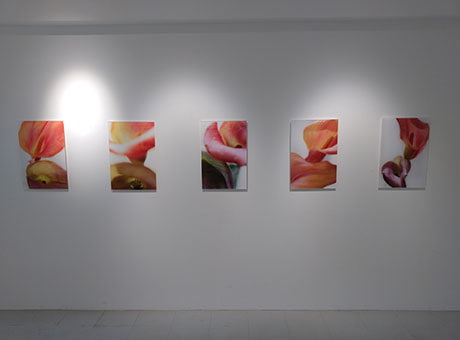 鷹岡のり子展 ―Birth― from Glow of Light