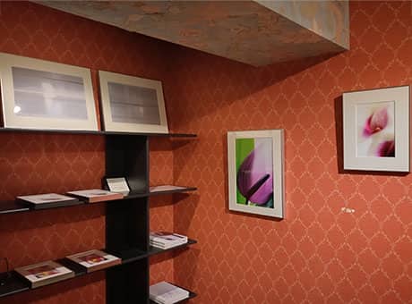 鷹岡のり子展 ―Birth― from Glow of Light