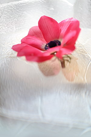 Floating flower 2