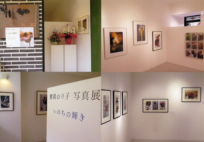 写真展「いのちの輝き」